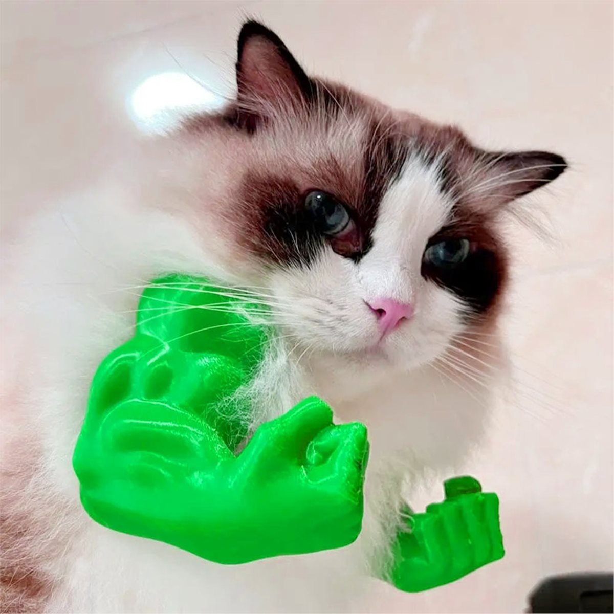 NEWCat Muscle Arm Pendant Pet  - đánh giá và giá Dolls