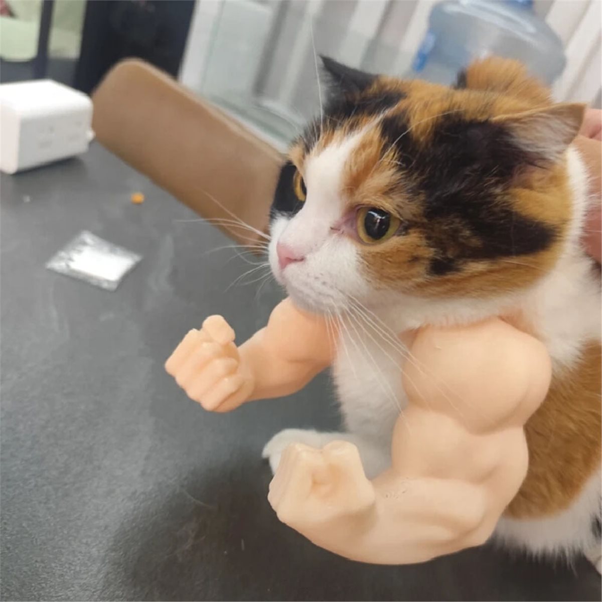 NEWCat Muscle Arm Pendant Pet  - đánh giá và giá Dolls